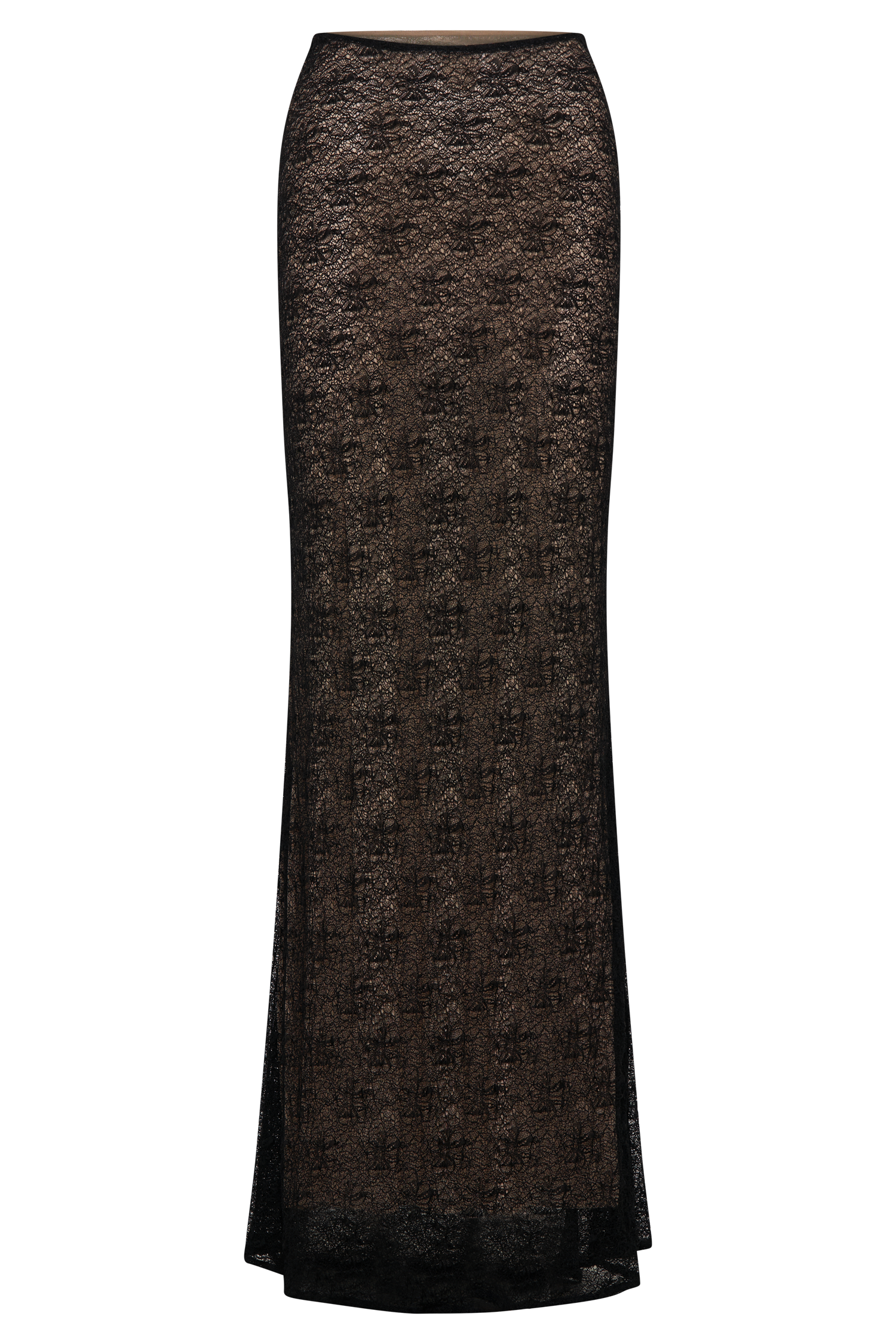 Robyn Sheer Lace Maxi Skirt - Black