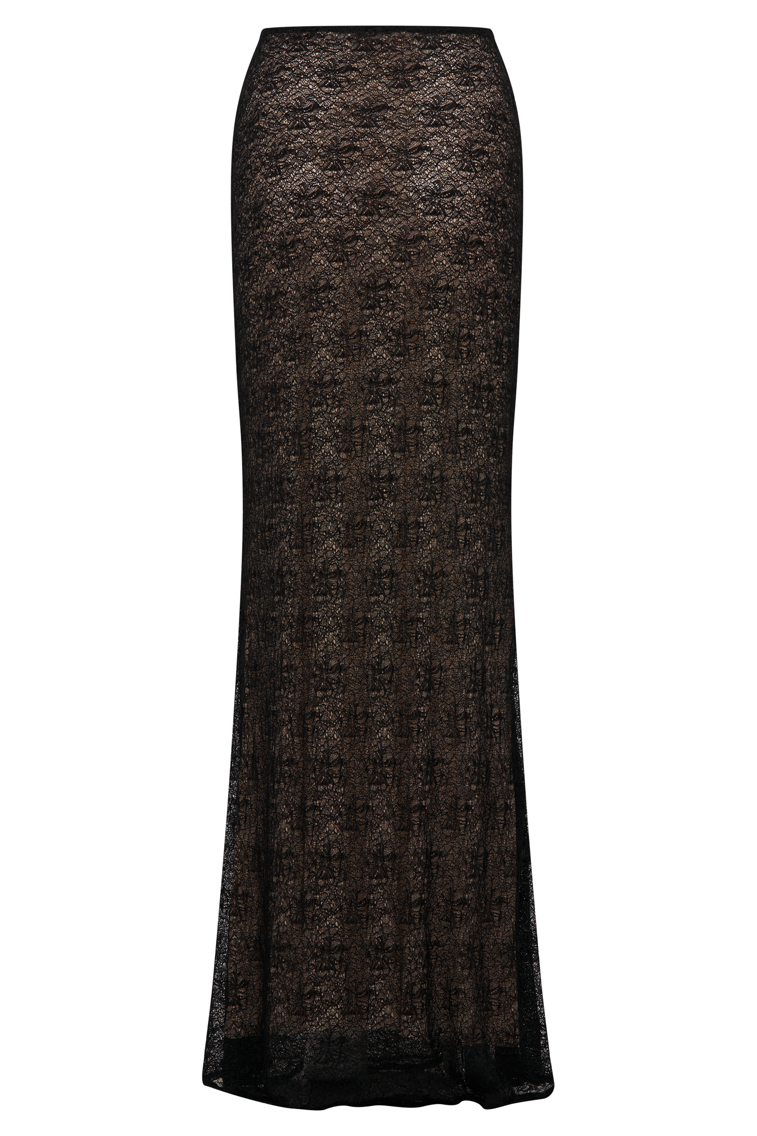 Robyn Sheer Lace Maxi Skirt - Black